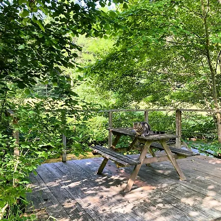 Bed & Breakfast Maison Esmeralda D'hotes Et Biert